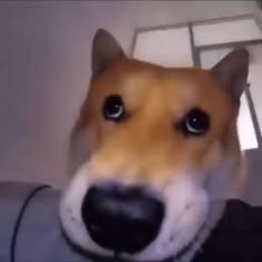 CraftRise Random Hesap